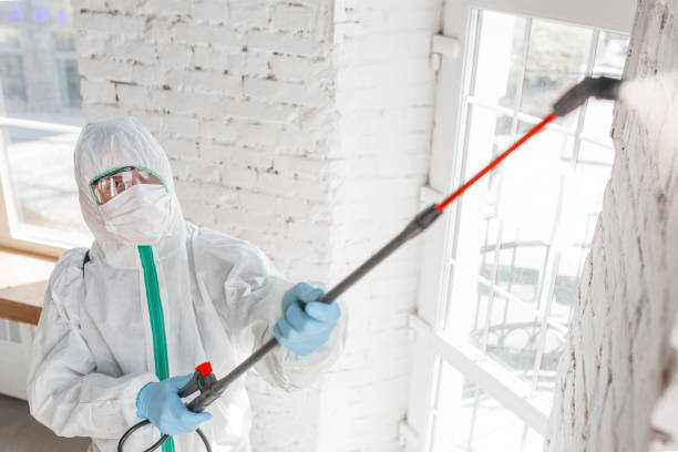 Best Air Quality Testing for Mold Spores  in Landrum, SC