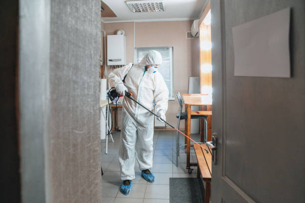 Best Residential Mold Inspection & Testing  in Landrum, SC