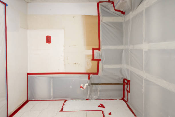 Best Comprehensive Air Testing for Mold Contaminants  in Landrum, SC