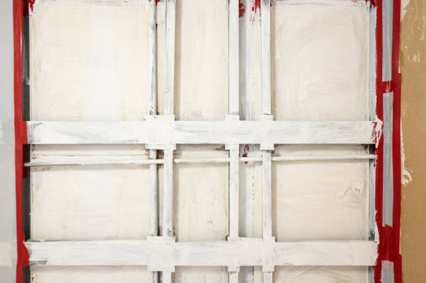 Best Asbestos and Lead Testing During Mold Inspection  in Landrum, SC