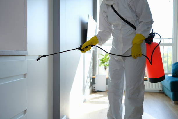 Best Airborne Mold Testing  in Landrum, SC