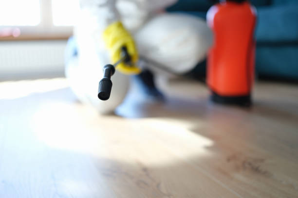 Best Forensic Mold Investigation  in Landrum, SC