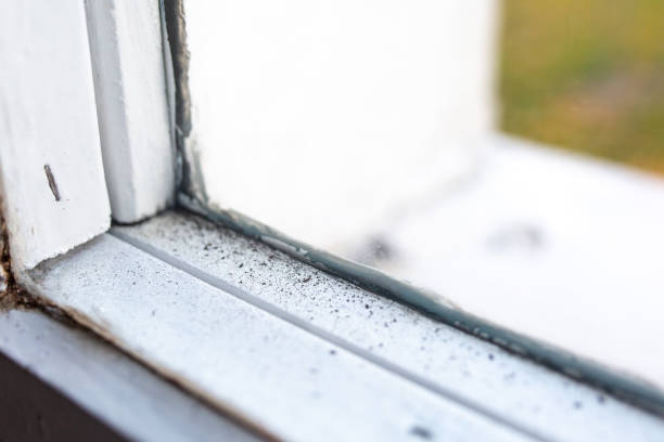 Best Mold Documentation for Insurance Claims  in Landrum, SC